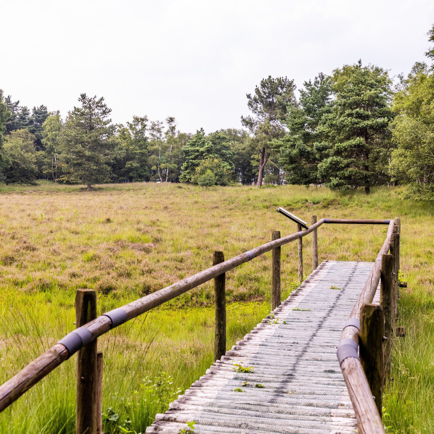 Wandelkaart knooppunten Land van Cuijk en omgeving - VisitBrabant webshop