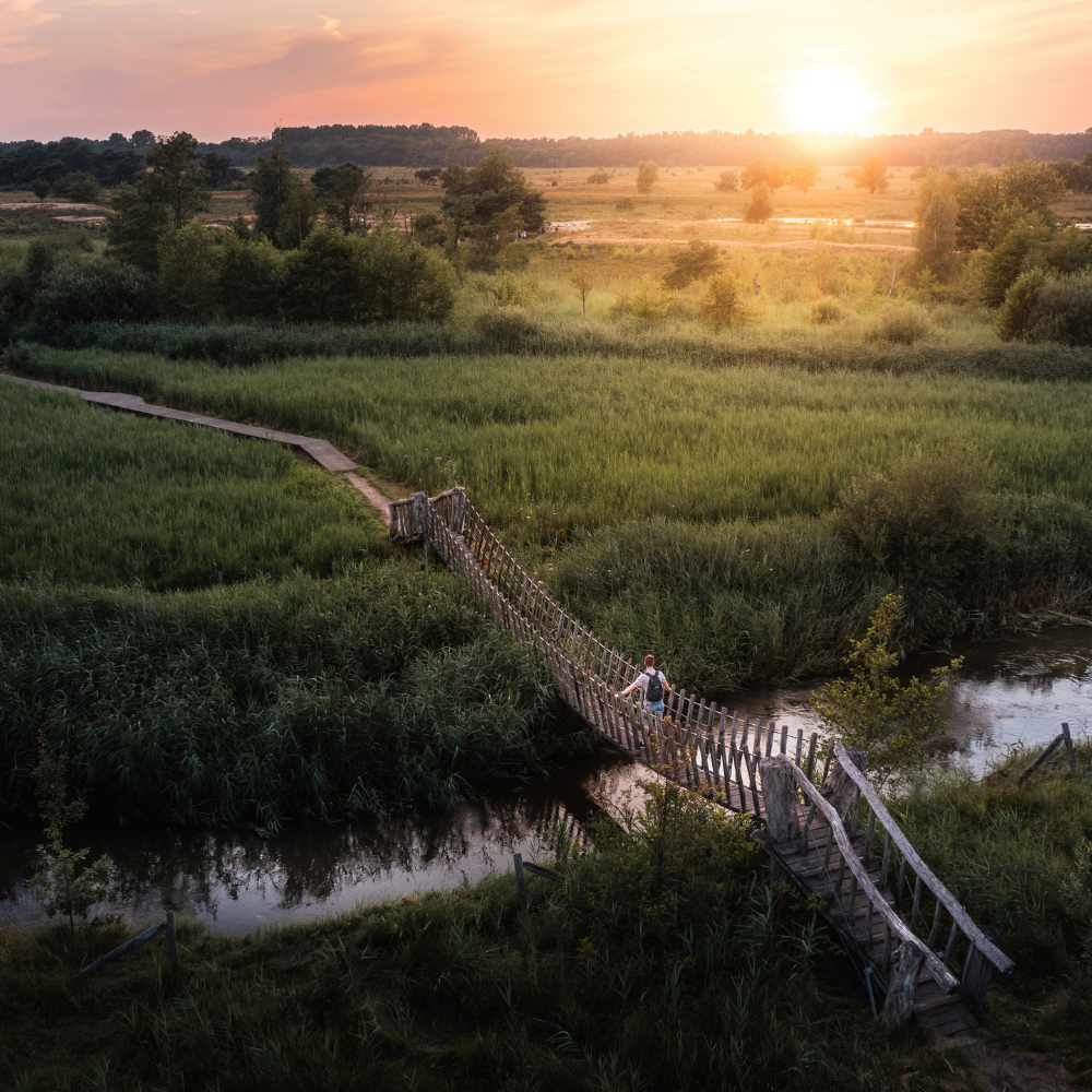 Routebundel Het Dommelpad - Afbeelding 7