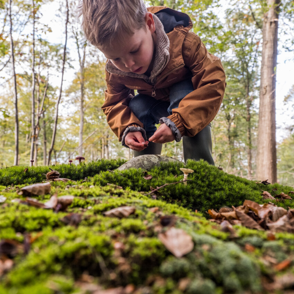 Jonge wandelaar in de bossen